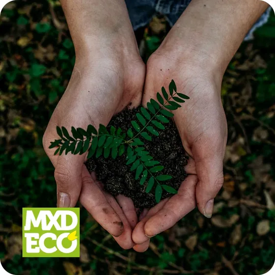 Manos sosteniendo tierra y una planta, sello MXD Eco