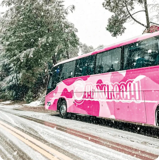 Micro de Maxdream en la nieve